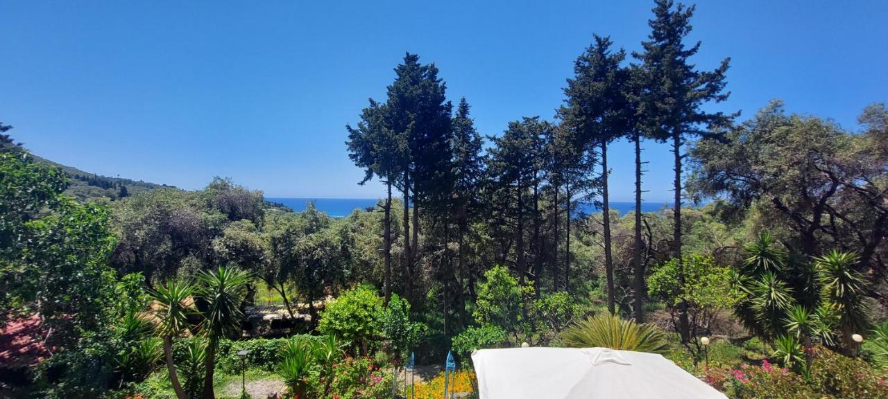 Leena Holiday home *