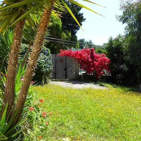 Villa Leena Paramonas  Exterior photo
